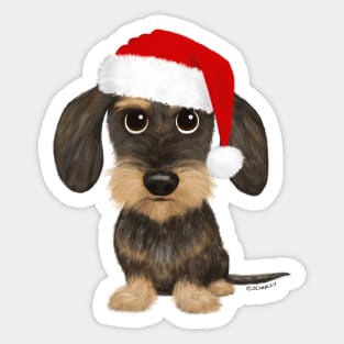 Wirehaired Dachshund with Santa Hat Cute Teckel Christmas Sticker